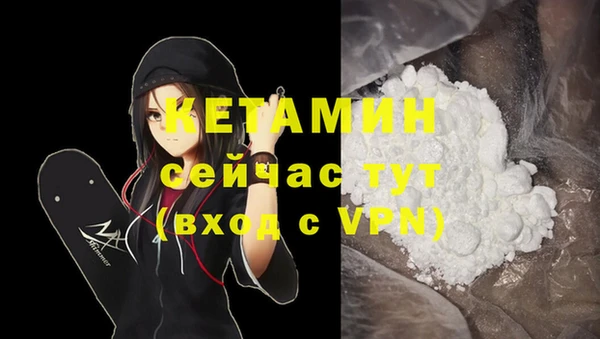 СК Алексин
