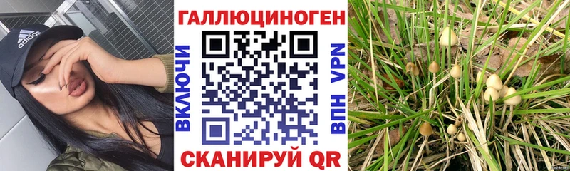 площадка формула  Ликино-Дулёво  Галлюциногенные грибы ЛСД 